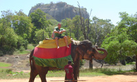 Sri Lanka Happy Holidys Elephant ride 