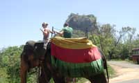 Sri Lanka Happy Holidys Elephant ride 