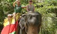 Sri Lanka Happy Holidys Elephant ride 