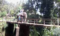Sri Lanka Happy Holidys Elephant ride 