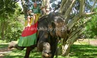 Sri Lanka Happy Holidys Elephant ride 