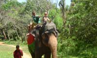 Sri Lanka Happy Holidys Elephant ride 