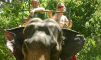 Sri Lanka Happy Holidys Elephant ride 