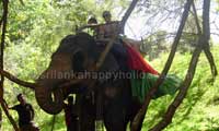 Sri Lanka Happy Holidys Elephant ride 