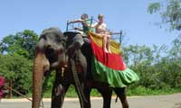 Sri Lanka Happy Holidys Elephant ride 