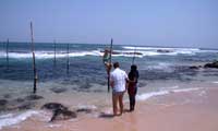 Srilanka Happy Holidys stilt fishing 