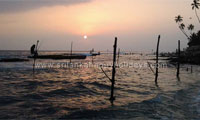 Srilanka Happy Holidys stilt fishing 
