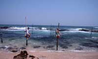 Srilanka Happy Holidys stilt fishing 