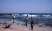 Srilanka Happy Holidys stilt fishing 