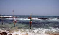 Srilanka Happy Holidys stilt fishing 