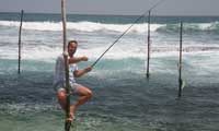 Srilanka Happy Holidys stilt fishing 