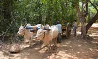 Sri lanka Happy Holidys, Village Tours 