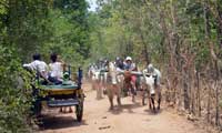 Sri lanka Happy Holidys, Village Tours 