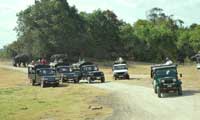 Sri lanka Happy Holidys, Wildlife Safaries 